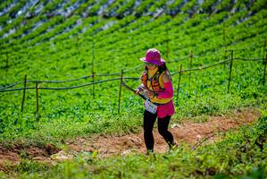 BIB: 200
                            <button type="button" onclick="openModal(19164331)" class="btn btn-primary btn-sm float-right btn-popup" data-toggle="modal" data-target=".modal-high-quality">
                        <i class="fas fa-shopping-cart"></i> Add to Cart
                    </button>
                                            <button type="button" onclick="isThisMe(19164331, true)" class="btn btn-success btn-sm float-right btn-popup btn-isme hidden" data-toggle="tooltip" data-placement="bottom" title="นี่คือรูปของคุณใช่ไหม คลิกที่นี่เพื่อเอาเข้าอัลบั้ม">
                        <i class="fas fa-plus"></i> Add to album
                    </button>
                    <button type="button" onclick="isThisMe(19164331, false)" class="btn btn-warning btn-sm float-right btn-popup btn-isnotme hidden">
                        <i class="fas fa-ban"></i> Remove from album
                    </button>